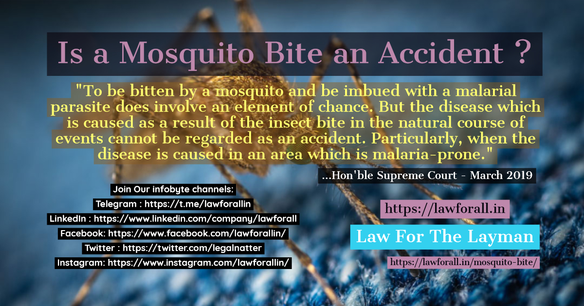 Is a Mosquito Bite an Accident ?